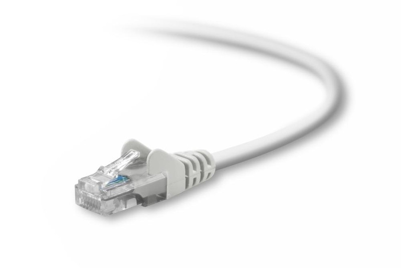 Belkin Cat5e, 25ft, 1 x RJ-45, 1 x RJ-45, White 7.62m White networking cable