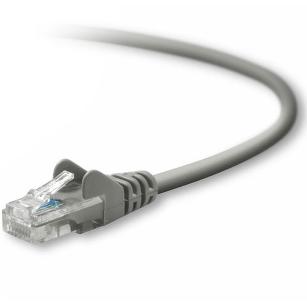 Belkin Cat5e Patch Cable - 100ft 30.5m Grey networking cable