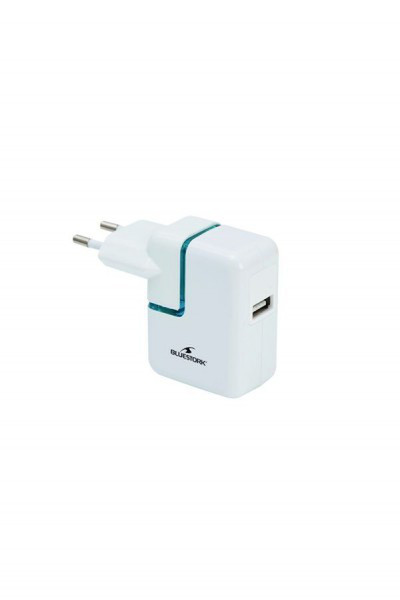 Bluestork BS-220-USB/IPAD адаптер питания / инвертор