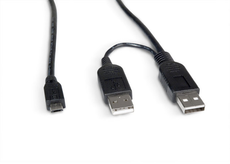 LaCie 0.6m USB-Y USB 2.0