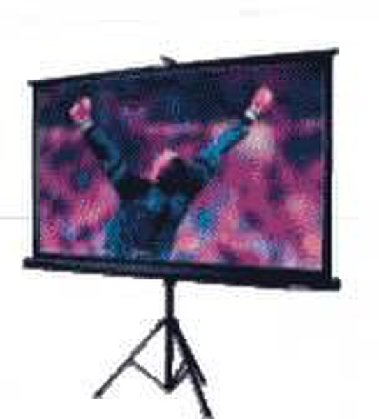 Epson Screen - ELPSC12 60