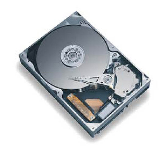 Seagate K MLinePlIII 300GBSATA133 7200 20pk bulk 300GB SATA Interne Festplatte