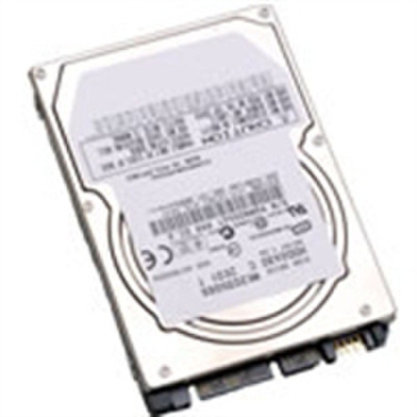 CMS Products D1700-320 320GB Serial ATA II Interne Festplatte