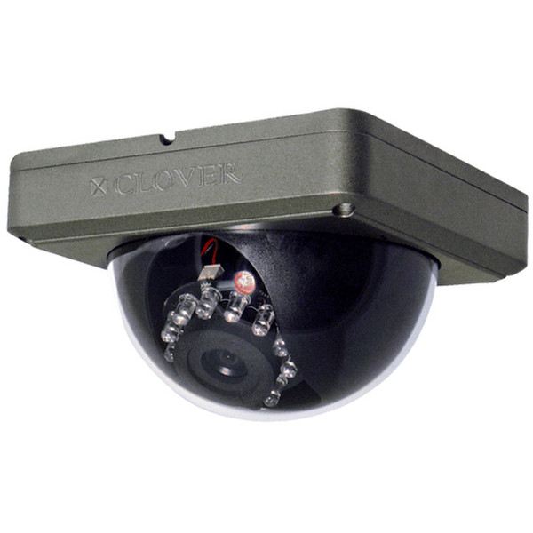 Wisecomm DC534 Innen & Außen Kuppel Schwarz Sicherheitskamera