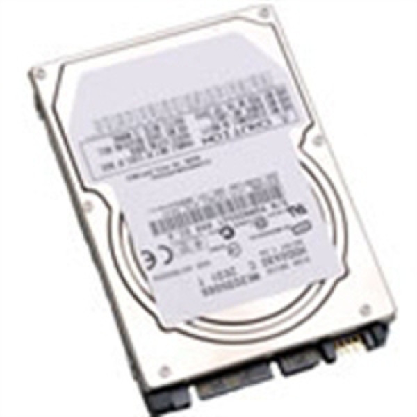 CMS Products EBSXT-250 250GB Serial ATA hard disk drive