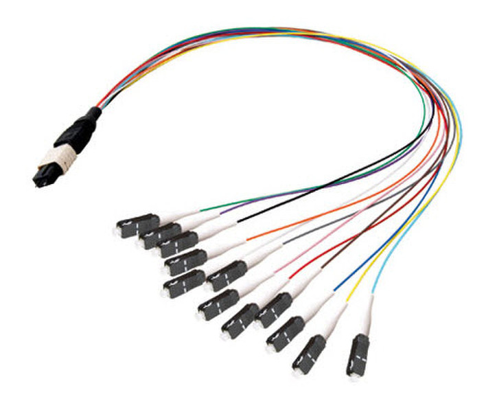 Advanced Cable Technology 2.0m MPO/12xSC 2m Schwarz, Weiß, Mehrfarben Telefonkabel
