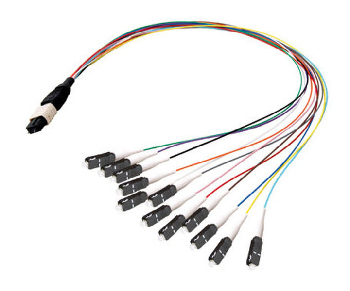 Advanced Cable Technology 5.0m MPO/12xSC 5м Черный, Белый, Разноцветный телефонный кабель