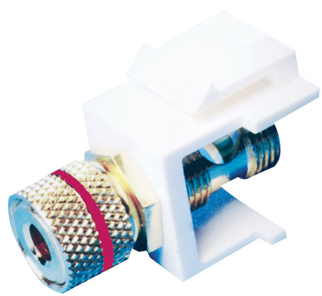 Channel Vision G-BJR-W