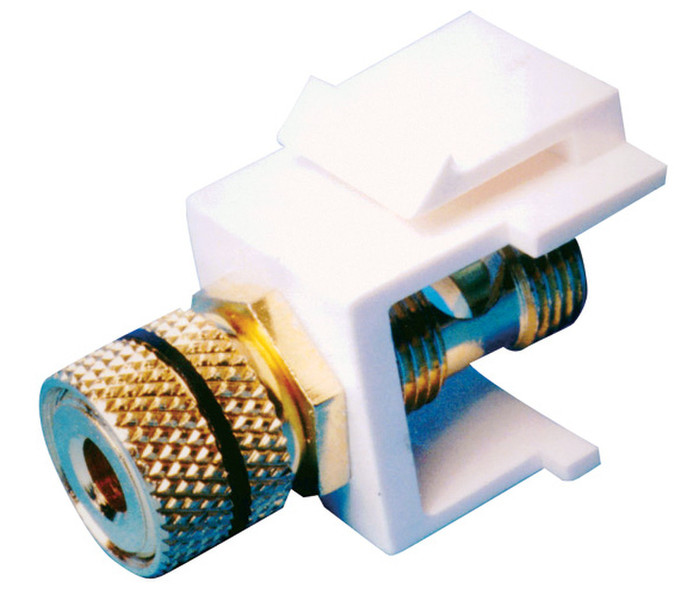 Channel Vision G-BJB-W