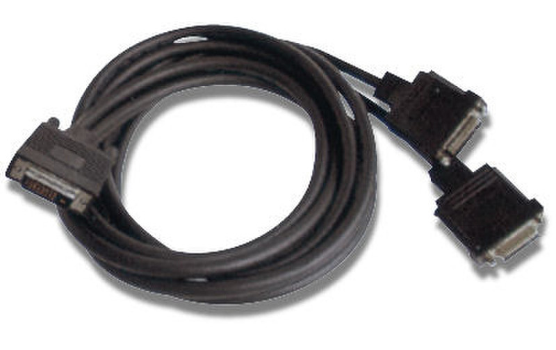 Stey A50023 2m Schwarz DVI-Kabel