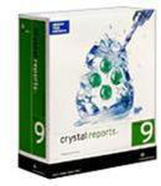 Business Objects Crystal Reports Professional Edition