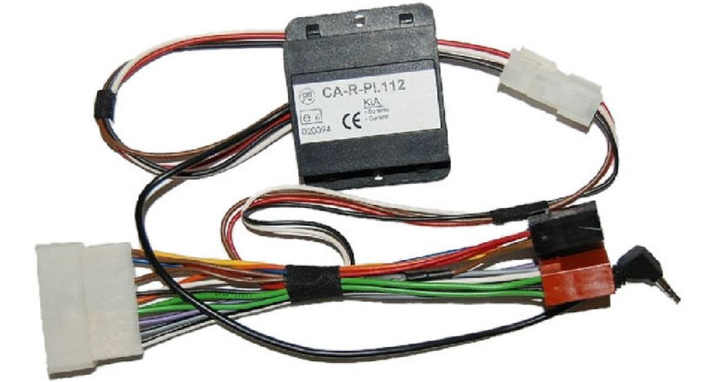 Pioneer CA-R-PI.112 car kit