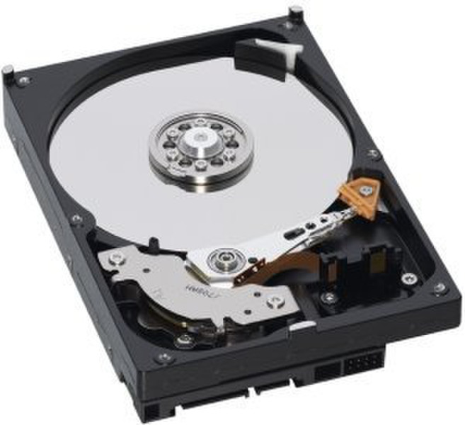 Western Digital WD AV 500ГБ SATA