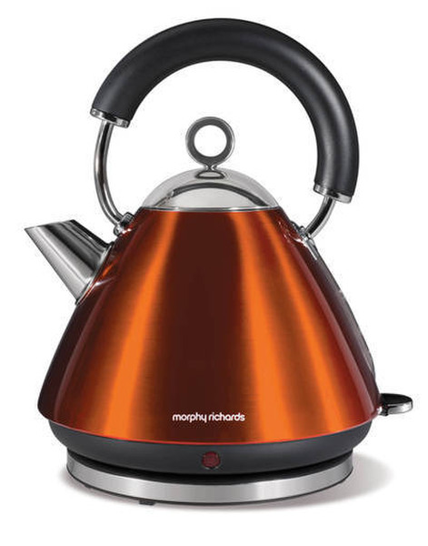 Morphy Richards 43858 electrical kettle