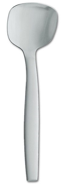 ZWILLING Fruit/salad serving spoon Silver