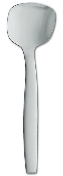 ZWILLING Fruit/salad serving spoon Cеребряный