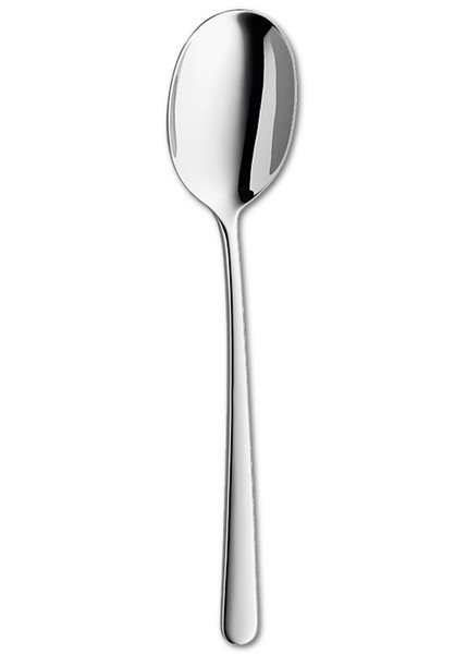 ZWILLING Serving spoon Silver