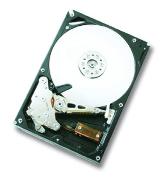 HGST Ultrastar A7K1000 750GB 750ГБ Serial ATA II внутренний жесткий диск