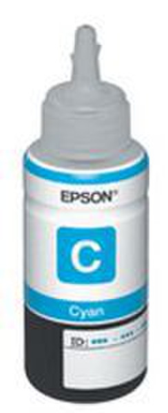 Epson T664220