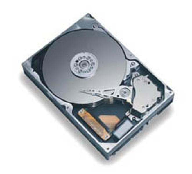 Seagate K MLinePIII 250GB SATA 7200 20pk bulk 250GB Serial ATA internal hard drive