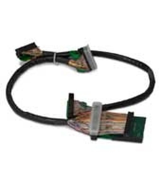HP 3 part SCSI Cable