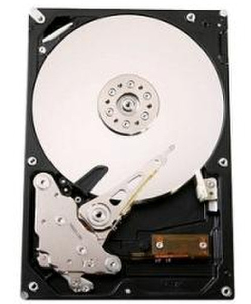 HGST CinemaStar 7K500 250GB SATA 3Gb/s 250GB Serial ATA II internal hard drive