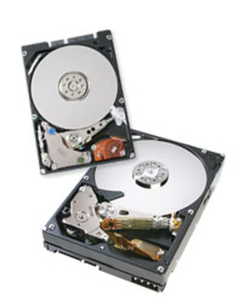 HGST CinemaStar 7K500 400GB PATA 400GB Ultra-ATA/133 Interne Festplatte