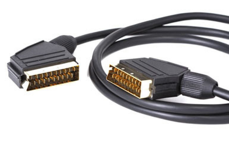 IPOINT Scart Cable