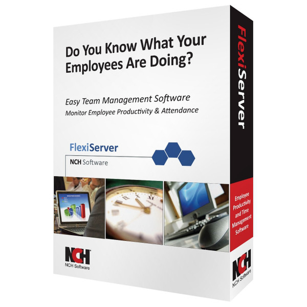 NCH Software FlexiServer