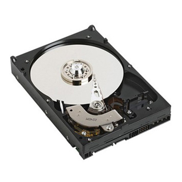 DELL 1TB SATA 1000GB SATA