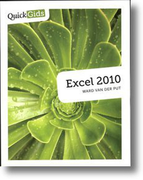 Pearson Education Excel 2010 128pages Dutch software manual