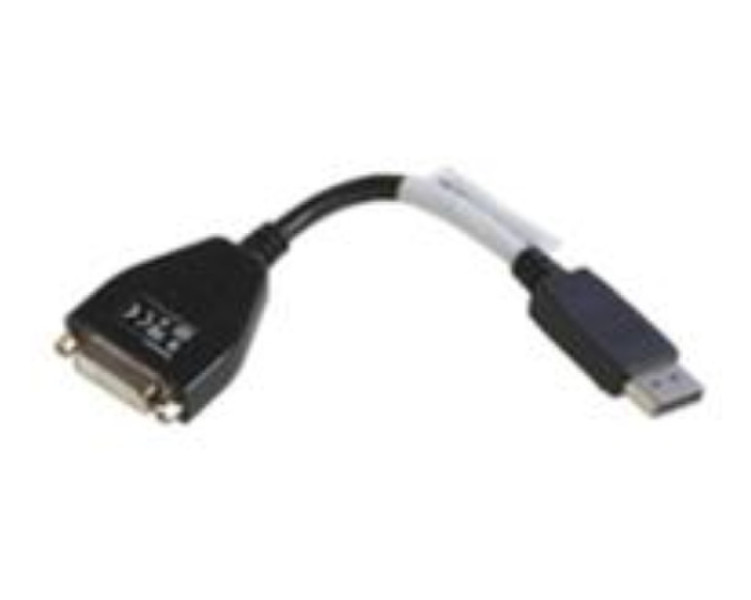Lenovo 43N9160 DVI-D DisplayPort Black video cable adapter