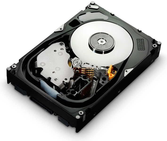 MicroStorage 0B23661-MS Festplatte / HDD