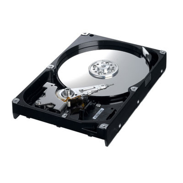 Samsung Spinpoint S 250GB Serial ATA II HDD, 20-pk 250GB Serial ATA II internal hard drive