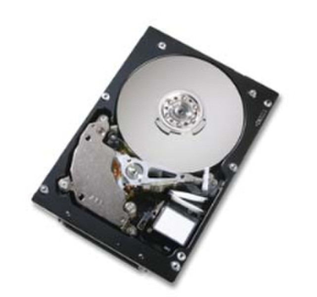 Hitachi Ultrastar 10K300 300GB 300GB SCSI internal hard drive