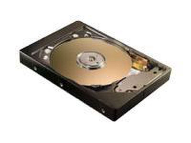 Seagate HD Fireball 3 40GB ATA133 5400rpm