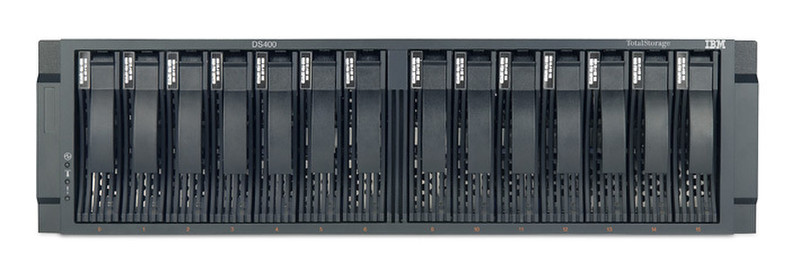 IBM Total Storage DS400 - Single Controller
