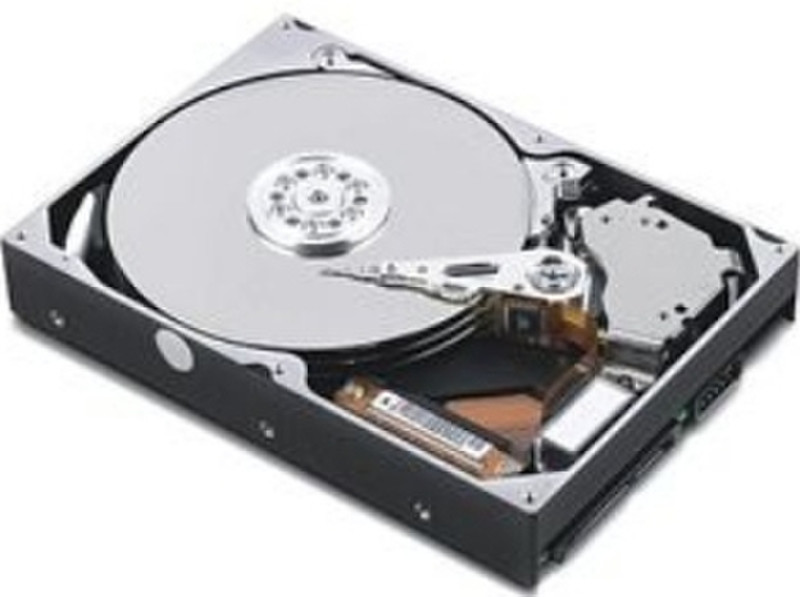 Lenovo FRU40Y8760 40GB Serial ATA hard disk drive