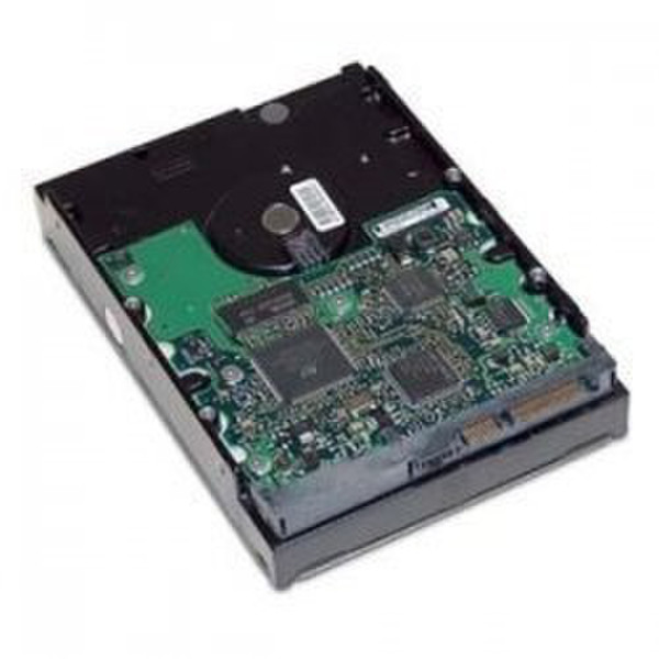 HP 250GB SATAII 7200rpm 250GB Serial ATA II