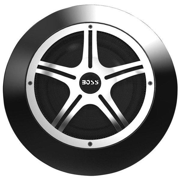 BOSS RS80 акустика