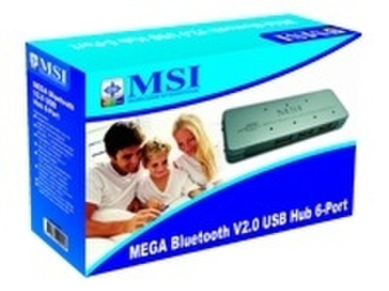 MSI Mega HUB 6-Port USB 2.0 + Bluetooth, silver 480Мбит/с Cеребряный хаб-разветвитель