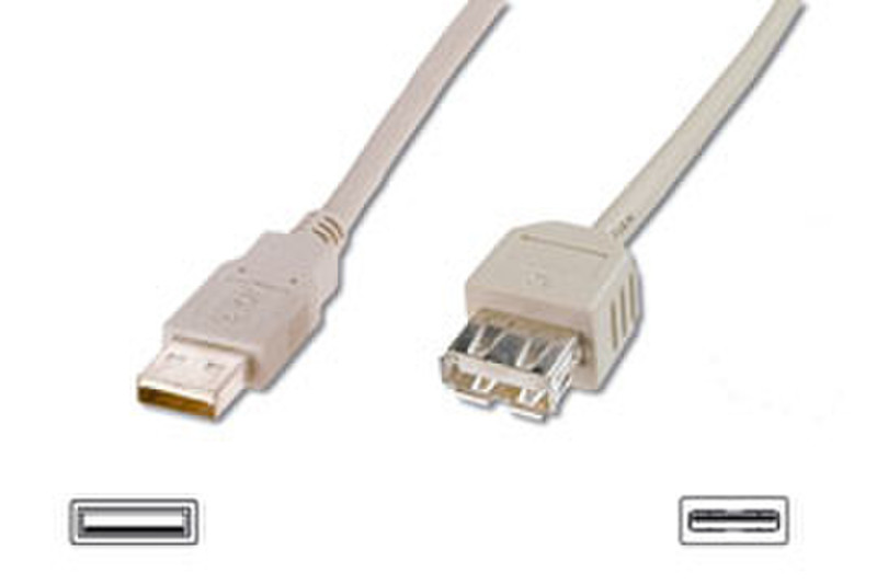 Cable Company USB extension cable 1.8m USB A USB A Beige USB Kabel