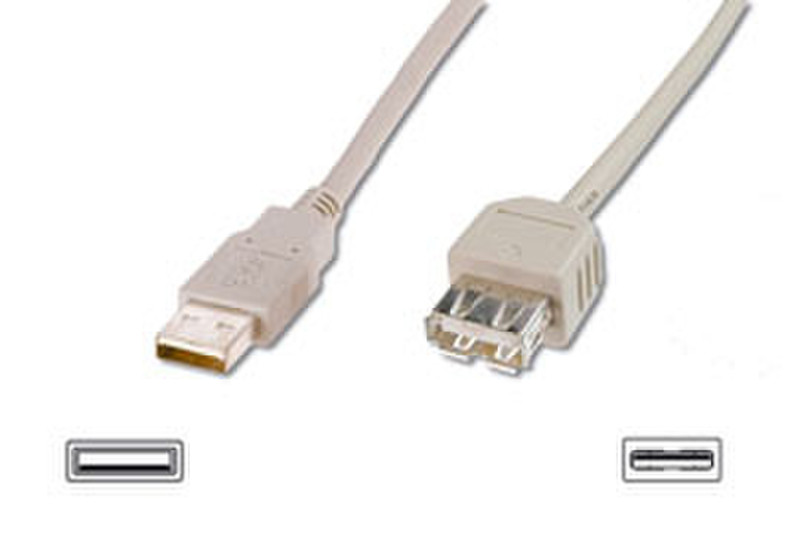 Cable Company USB extension cable 5m USB A USB A Beige USB Kabel