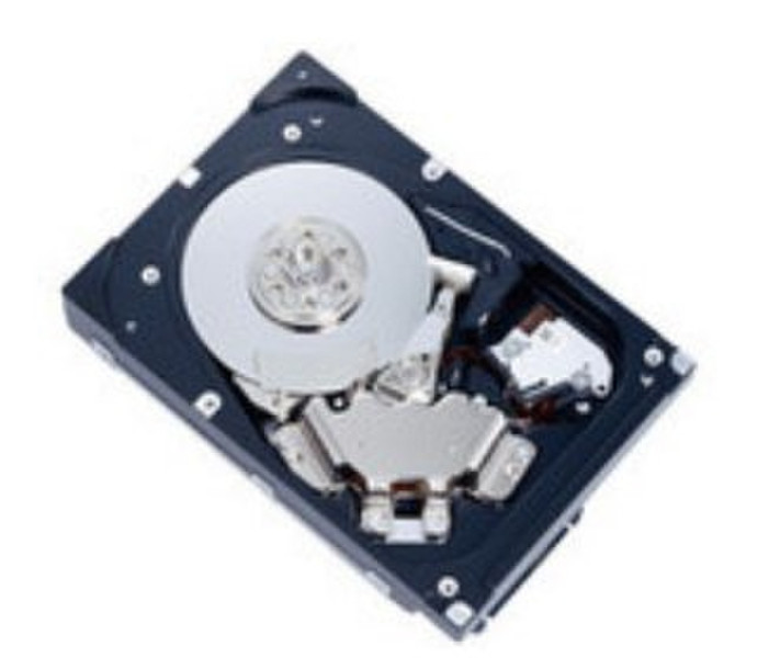 MicroStorage MBA3300RC-MS 300GB SAS hard disk drive