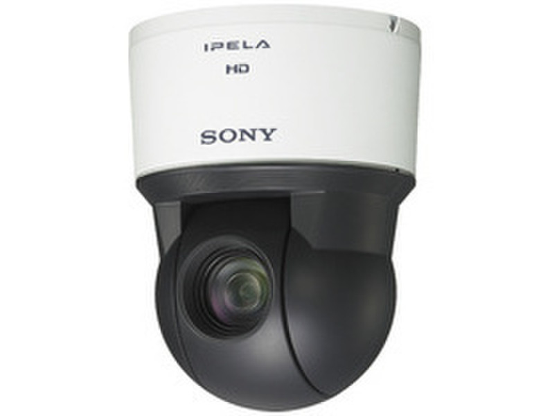 Sony SNC-ER550 Kuppel Schwarz, Weiß Sicherheitskamera