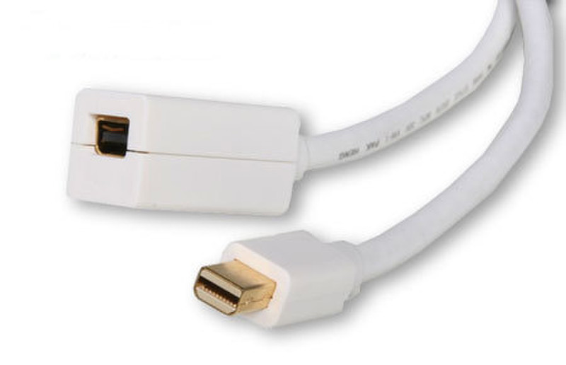 Atlona AT13031-2 DisplayPort-Kabel