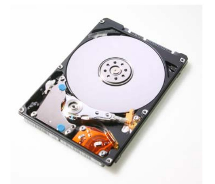 Hitachi Travelstar 5K320 250GB SATA 2.5