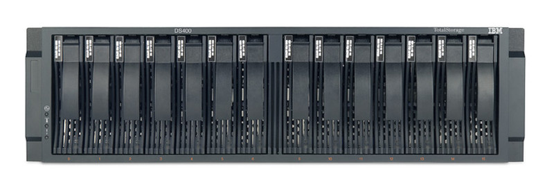 IBM DS400 (single controller) (17001RS) Open Bay Стойка (3U) дисковая система хранения данных
