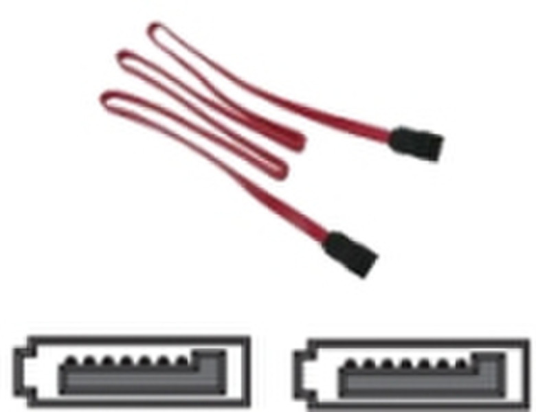 ICIDU S-ATA Cable 0.6m, OEM 0.6m SATA SATA SATA cable