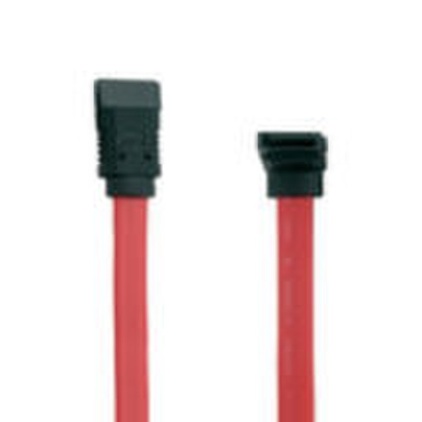 Bandridge 0.5m, SATA 0.5m SATA II SATA II Red SATA cable